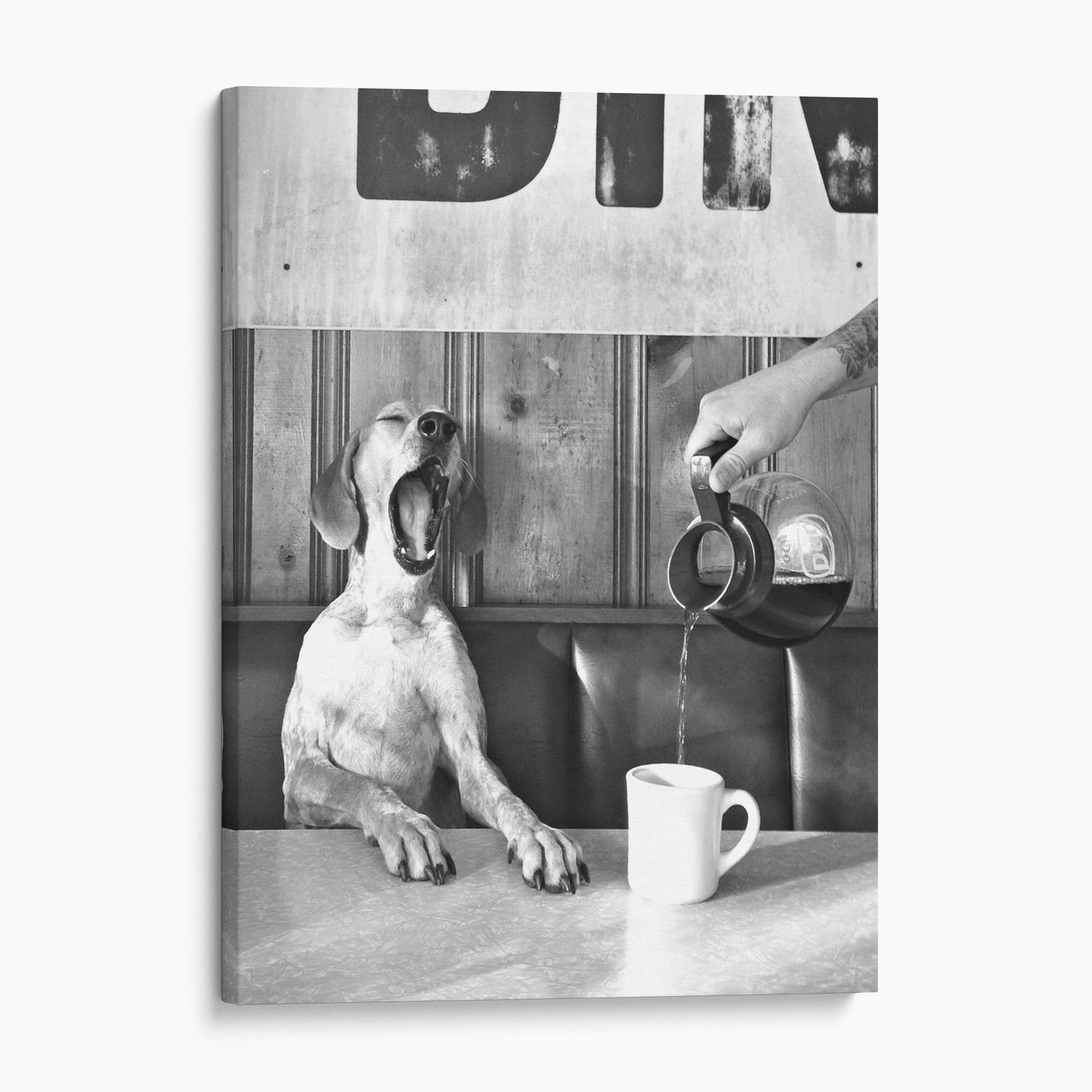 Dog Yawning Over Morning Coffee