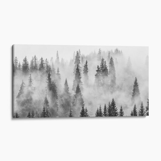 Foggy Forest