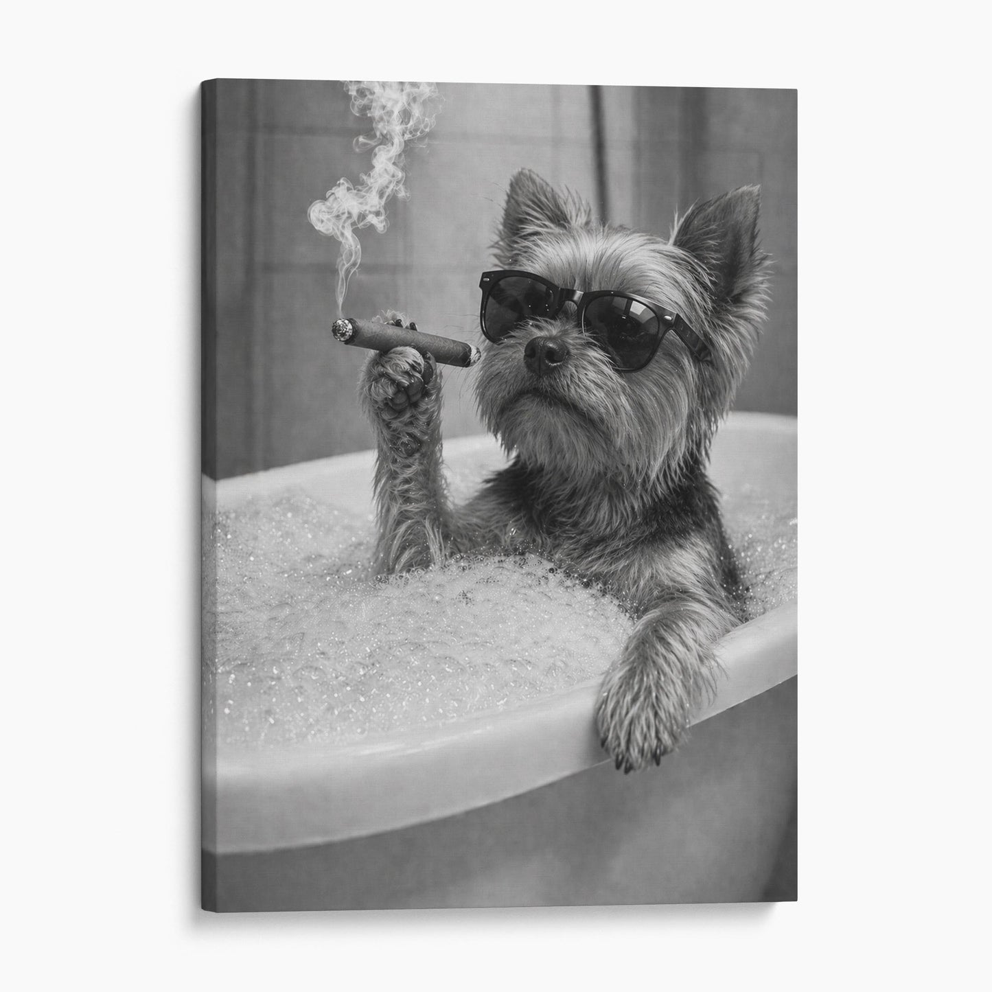 Yorkshire Terrier Dog Bathtub Cigar