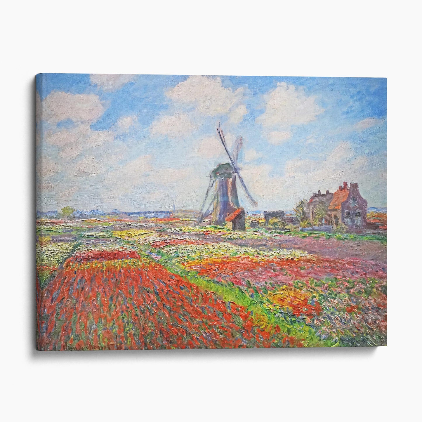 Tulip Field in Holland - Claude Monet