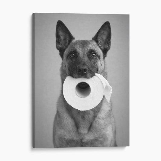 Belgian Malinois Dog Toilet Paper