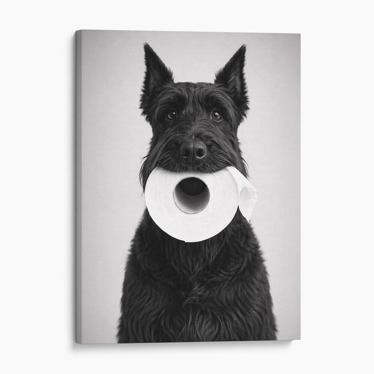 Giant Schnauzer Dog Toilet Paper