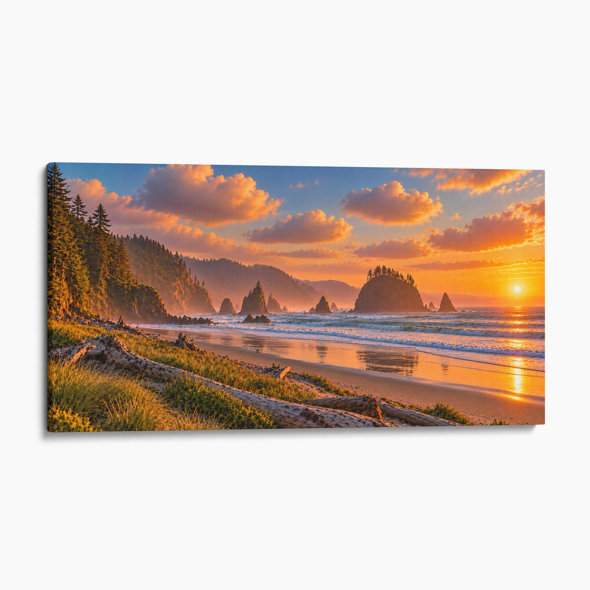 Olympic National Park, Washington Coast