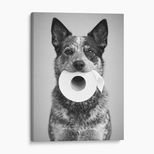 Australian Cattle Dog Toilet Paper