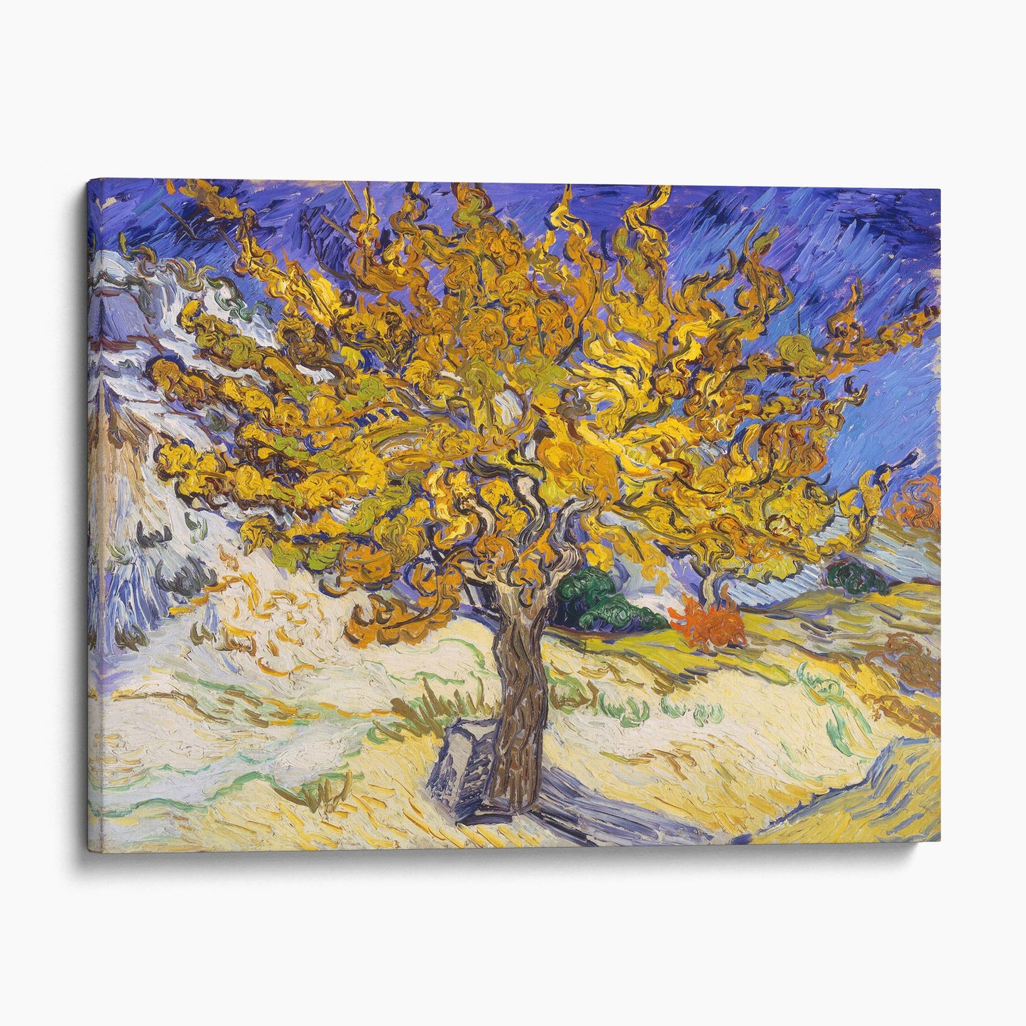 The Mulberry Tree by Vincent Van Gogh