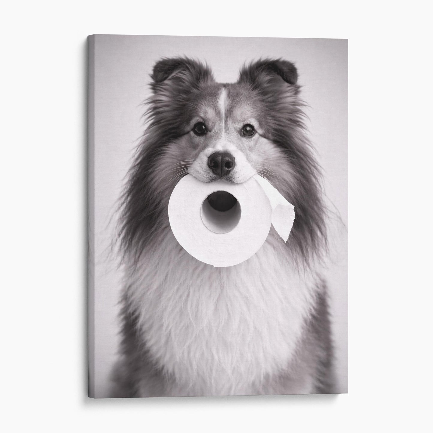 Shetland Sheepdog Toilet Paper
