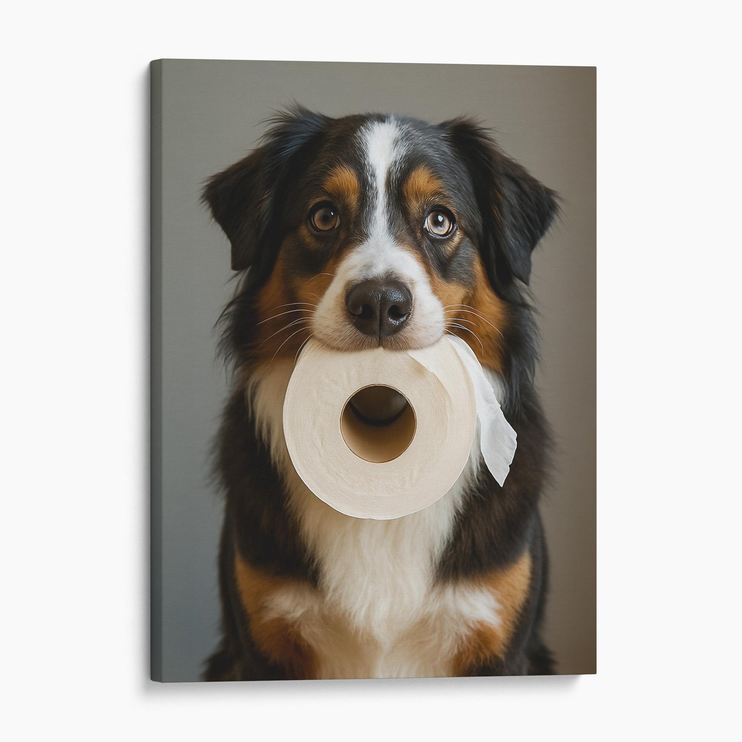 Australian Shepherd Dog Toilet Paper