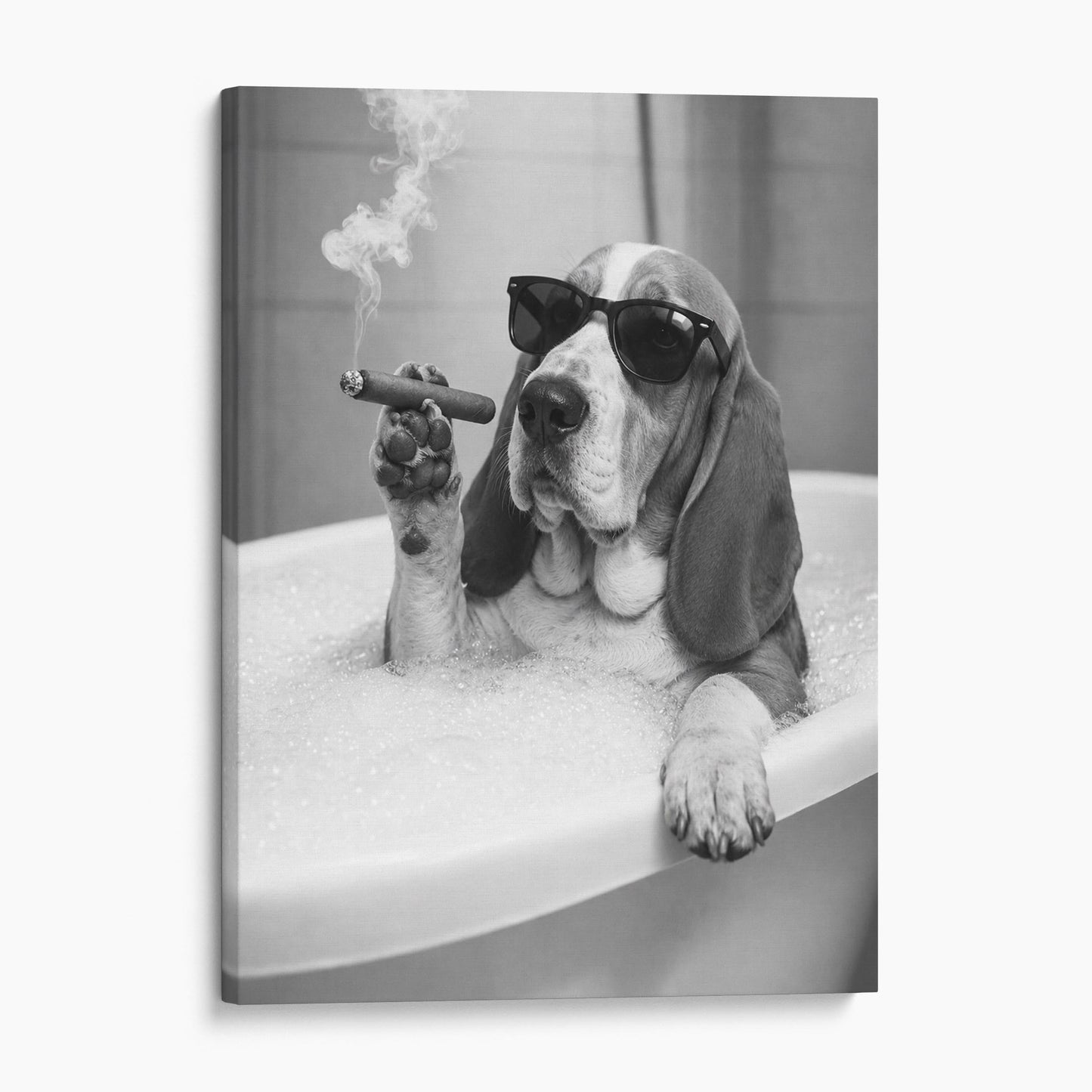 Basset Hound Dog Bathtub Cigar