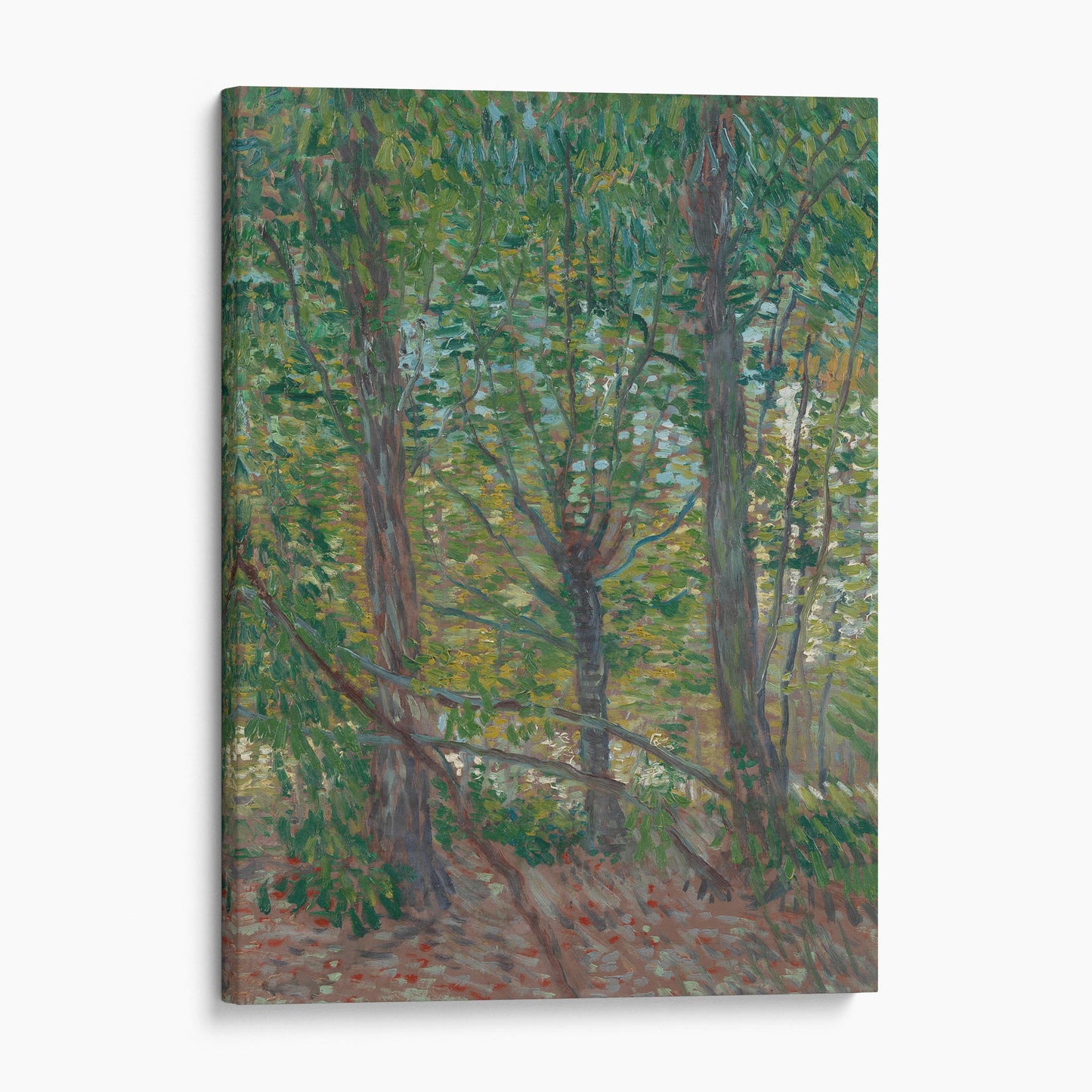 Trees and Underwood - Van Gogh