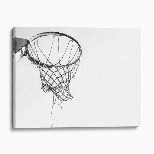 Basketball Net