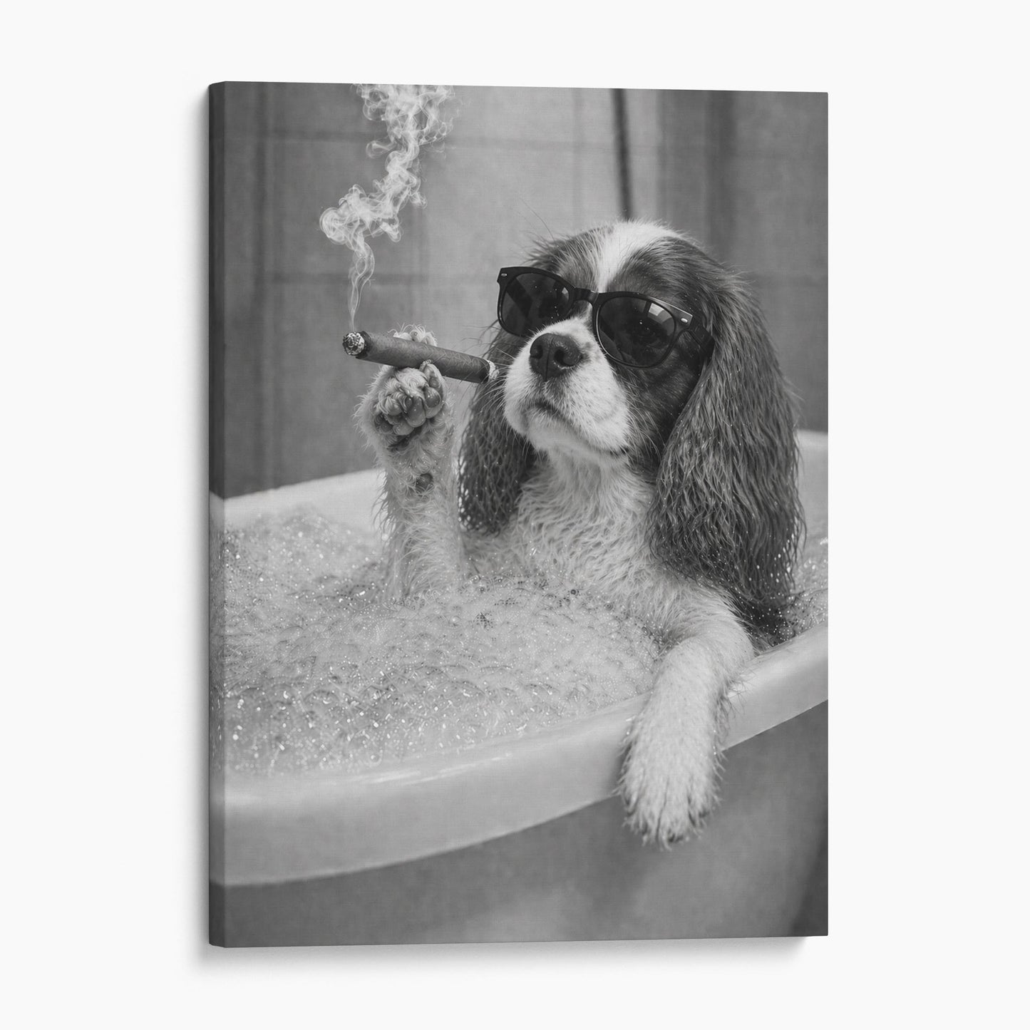 Cavalier King Charles Spaniel Dog Bathtub Cigar
