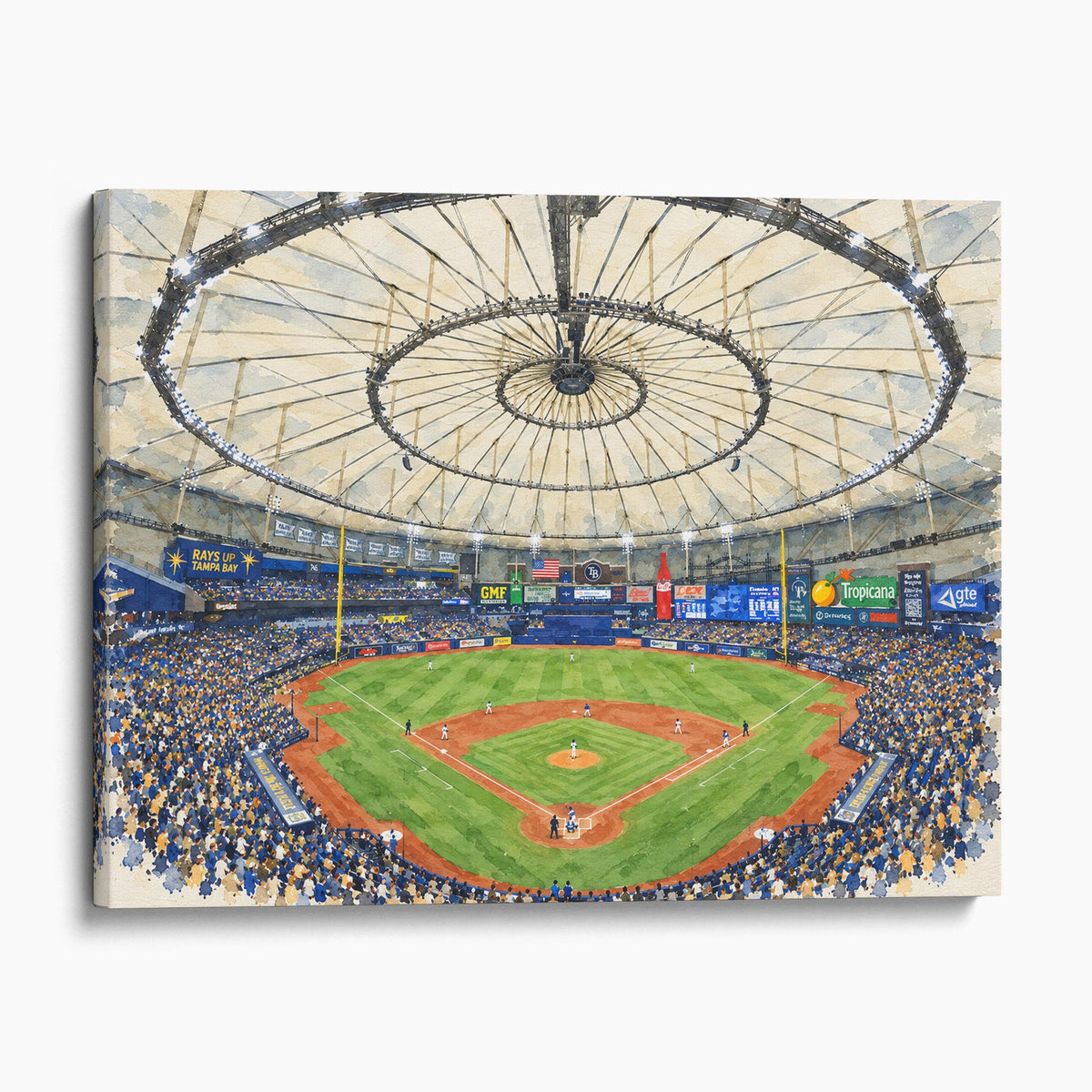 Tropicana Field, Tampa Bay