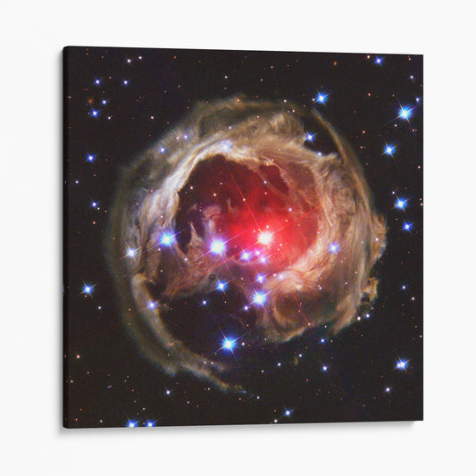 V838 Monocerotis (NASA Hubble Space Telescope)