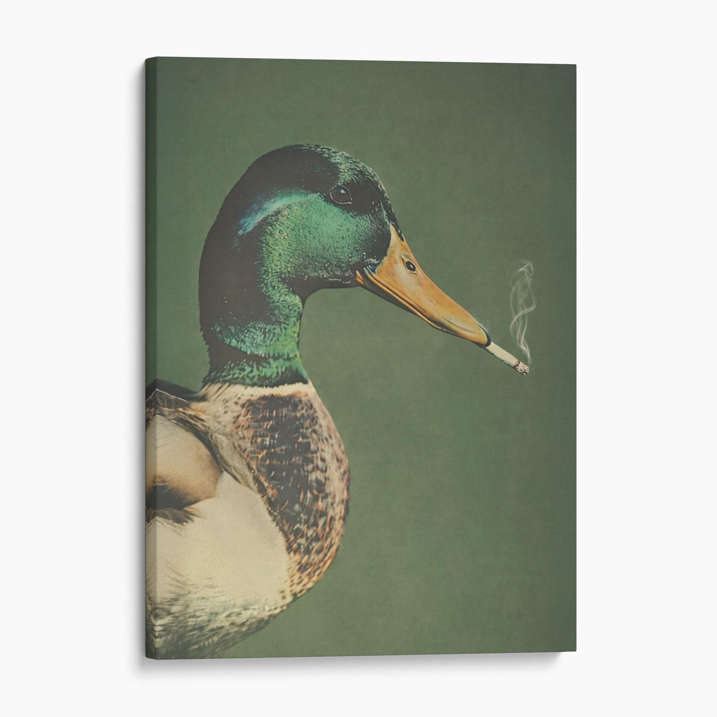 Smoking Duck