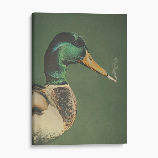 Smoking Duck