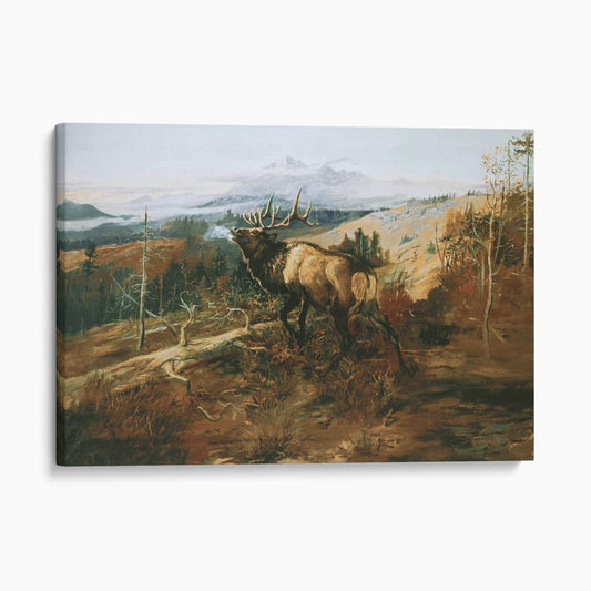 The Elk - Charles M Russell