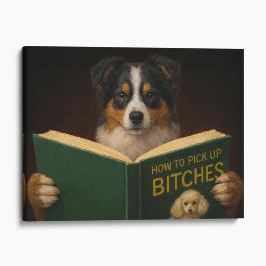 Miniature American Shepherd Reading Dog Dating Book