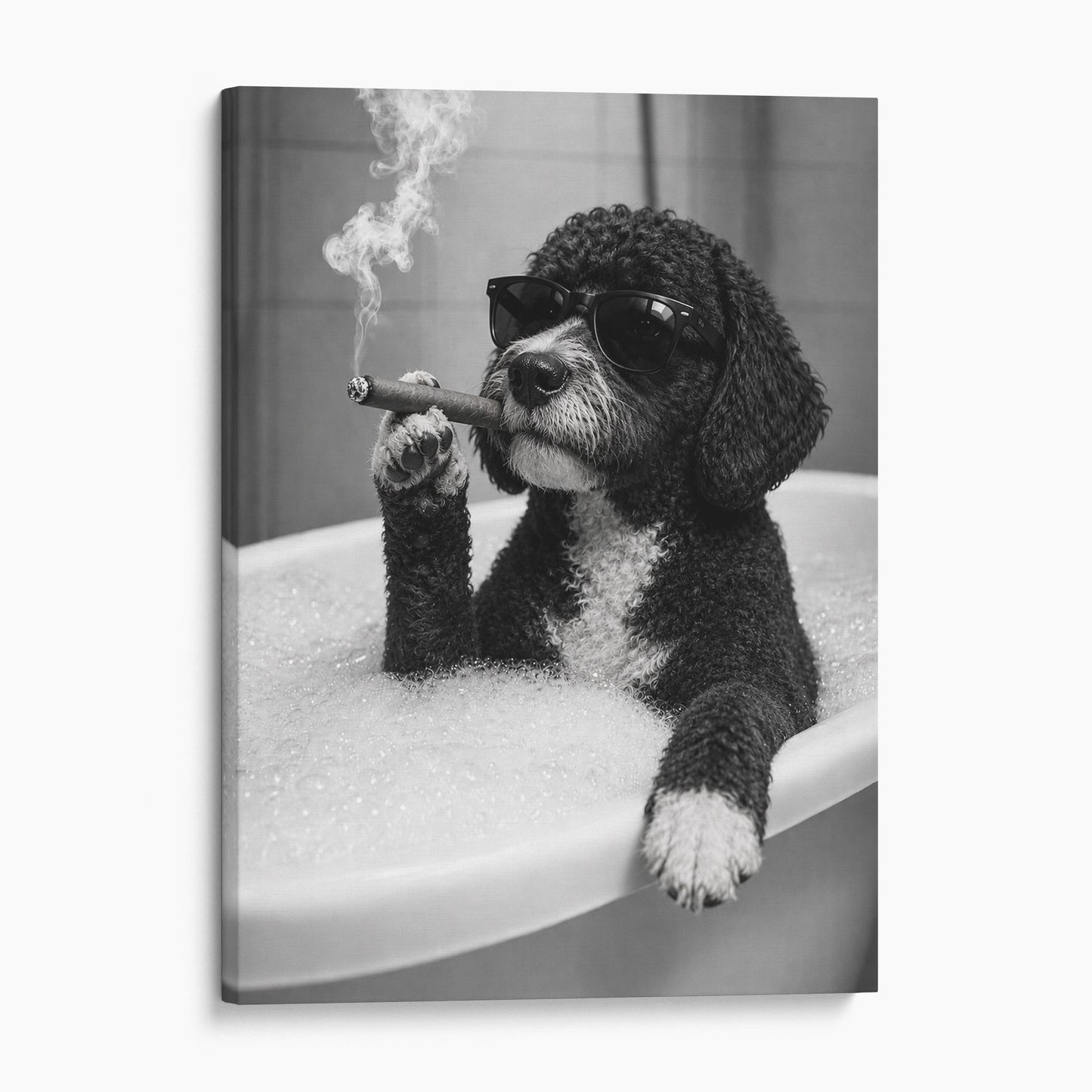 Portuguese Water Dog Bathtub Cigar