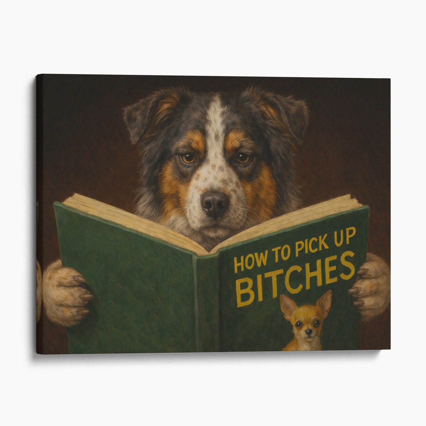 Australian Shepherd Dog Reading Dating Book