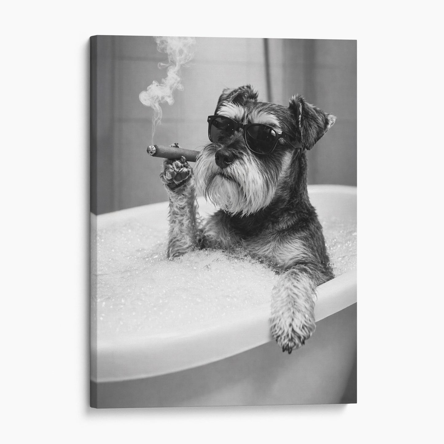 Miniature Schnauzer Dog Bathtub Cigar