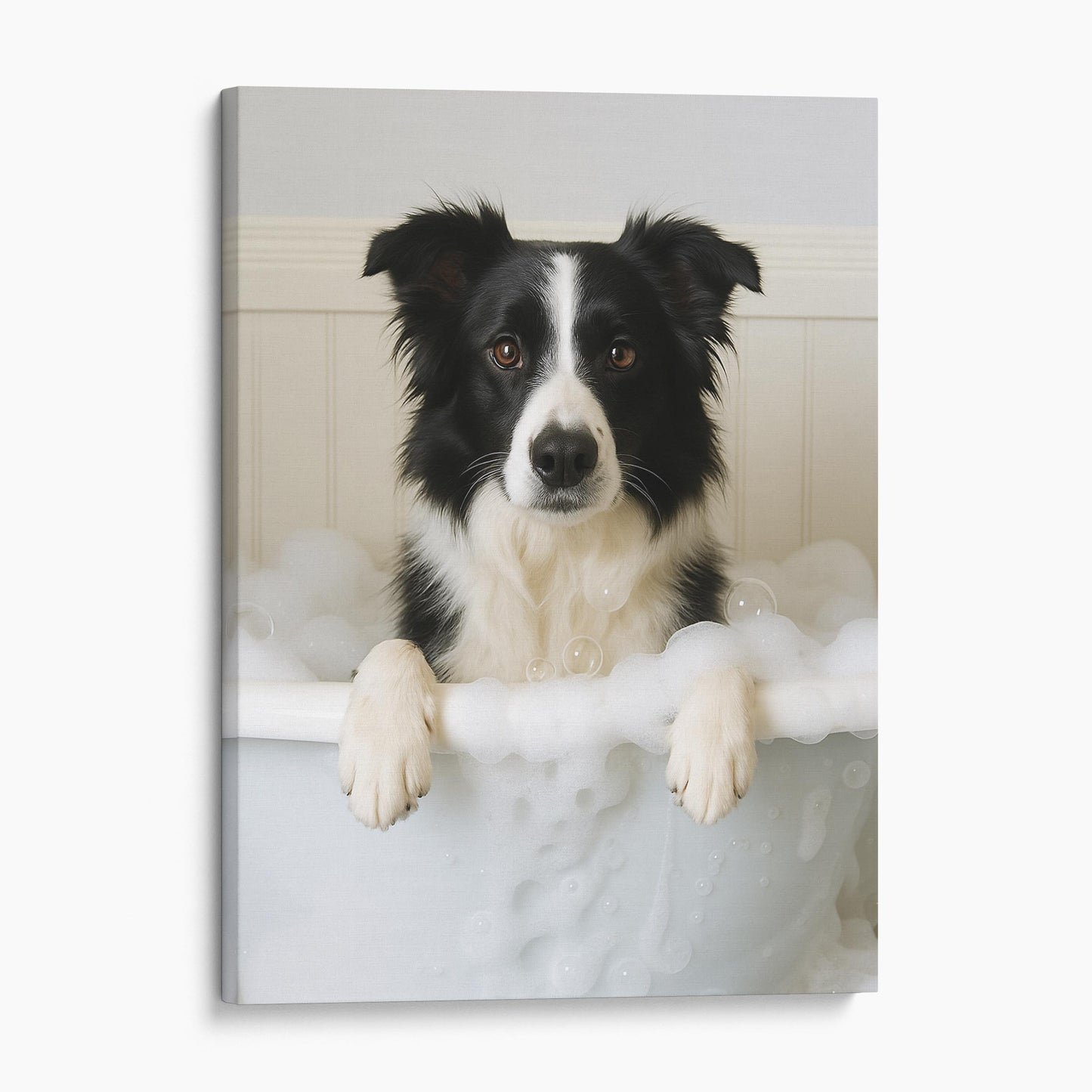 Border Collie Dog Bubble Bath