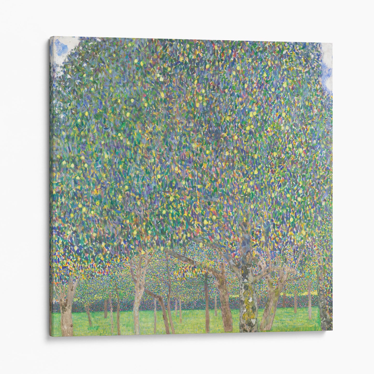 Pear Tree 1903 by Gustav Klimt