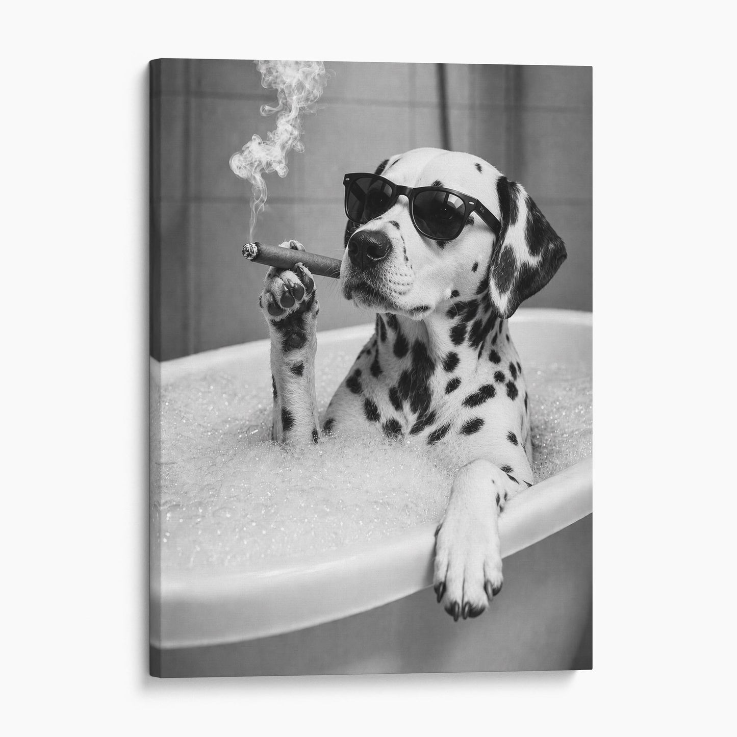 Dalmatian Dog Bathtub Cigar