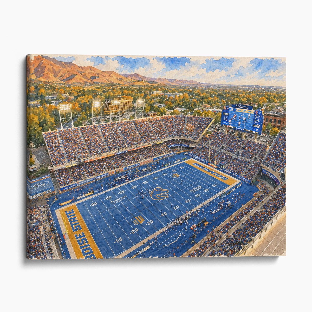 Albertsons Stadium, Boise State