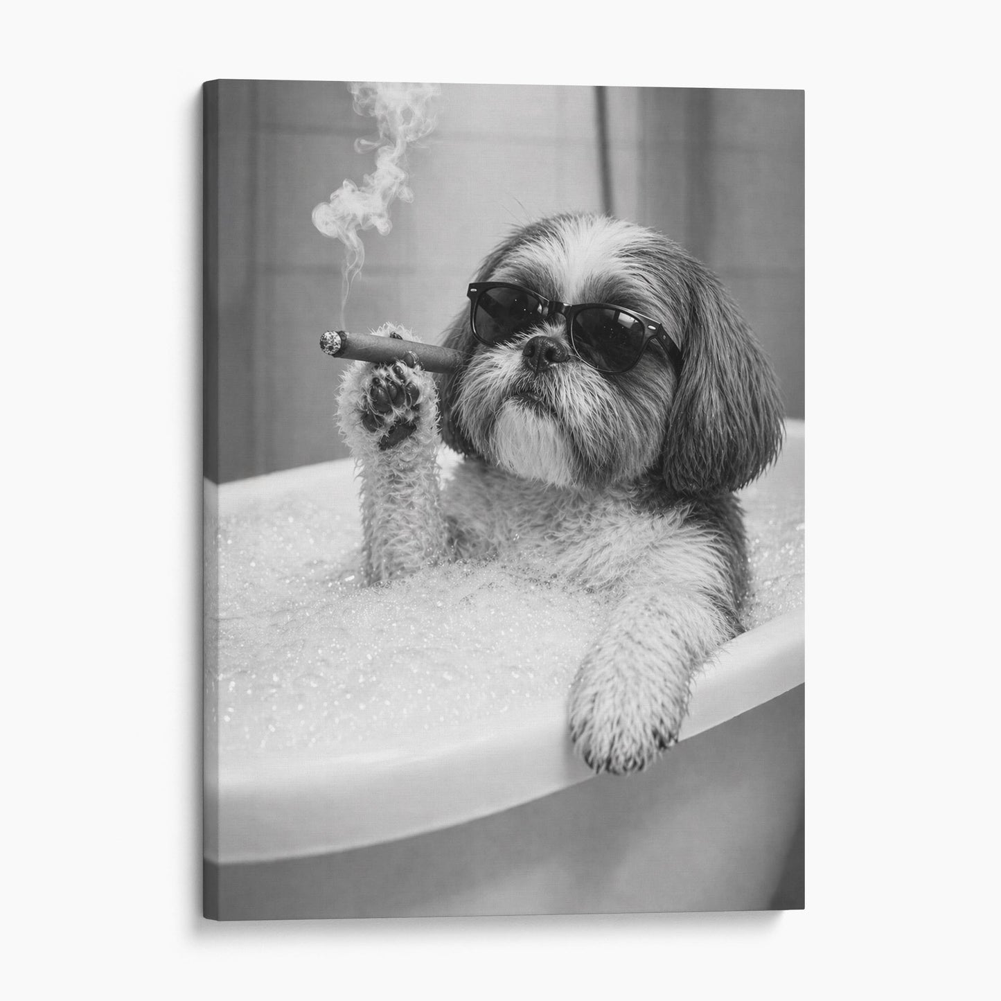 Shih Tzu Dog Bathtub Cigar
