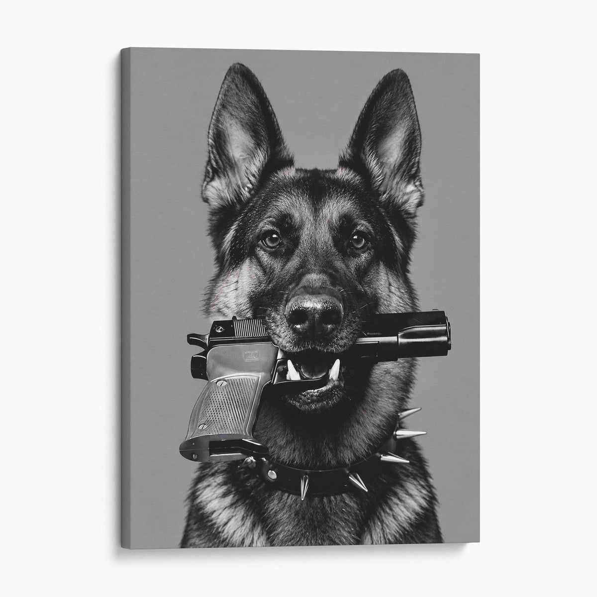 German Shepherd Gun In Mouth