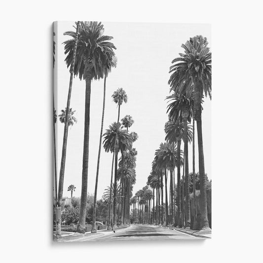 Los Angeles Palm Tree Streets