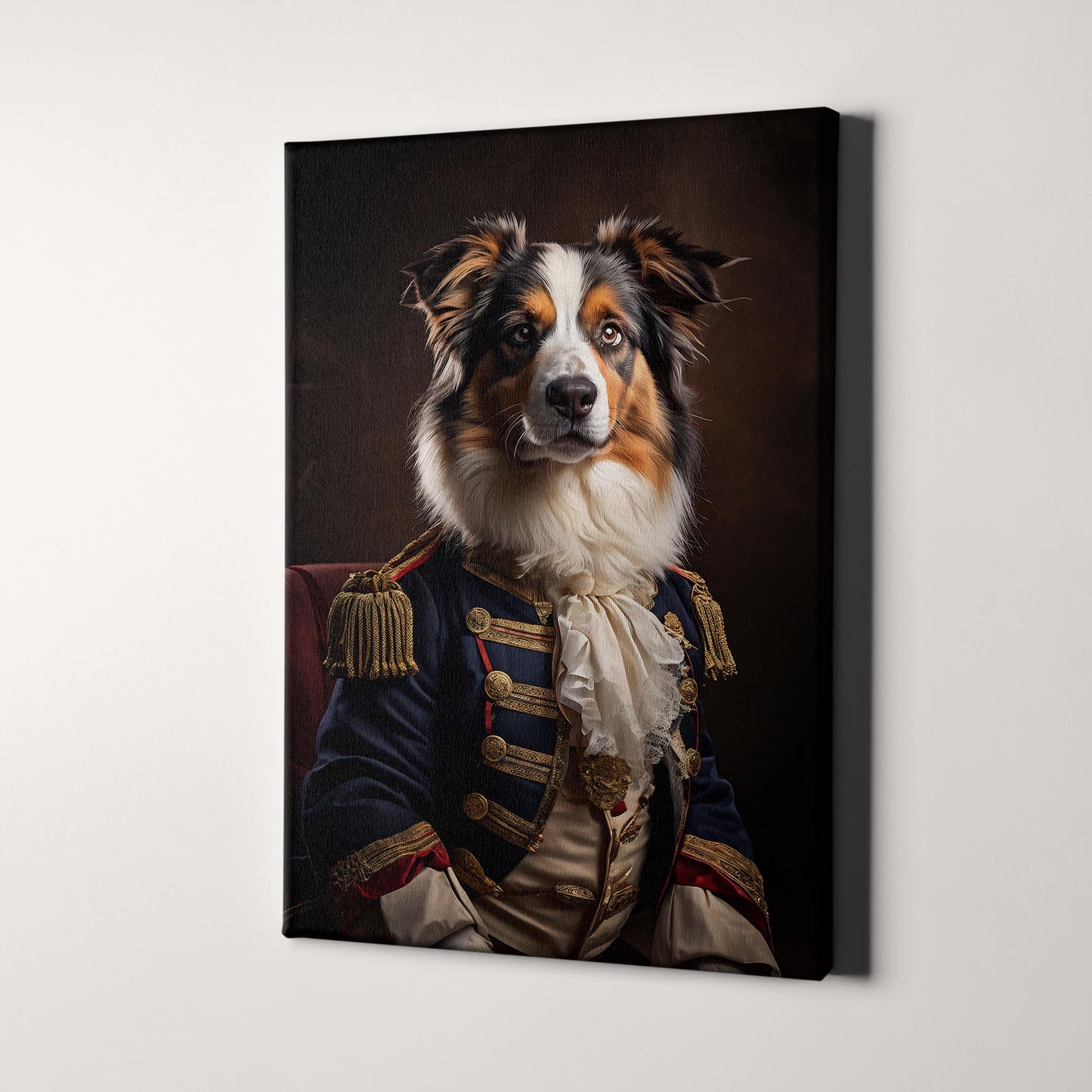 Australian Shepherd Aristocrat Portrait