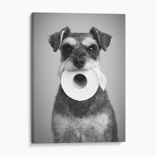Miniature Schnauzer Dog Toilet Paper