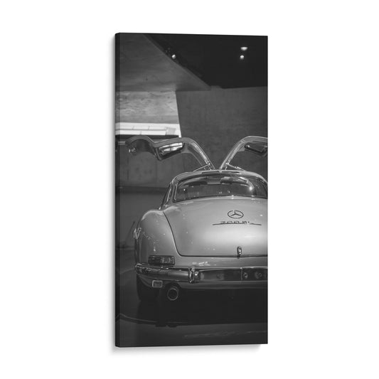 Mercedes Benz 300 SL Wing Doors