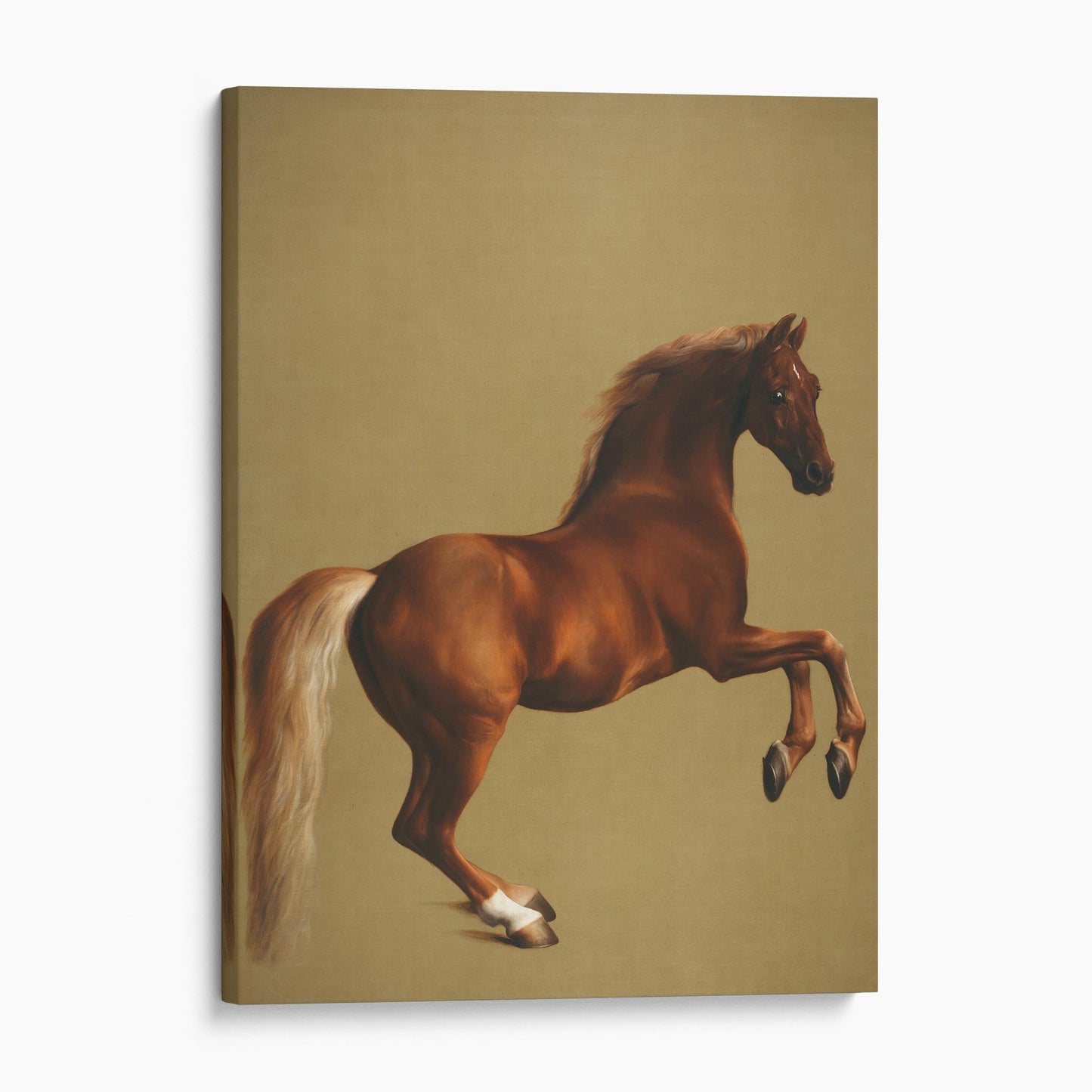 Whistlejacket by George Stubbs
