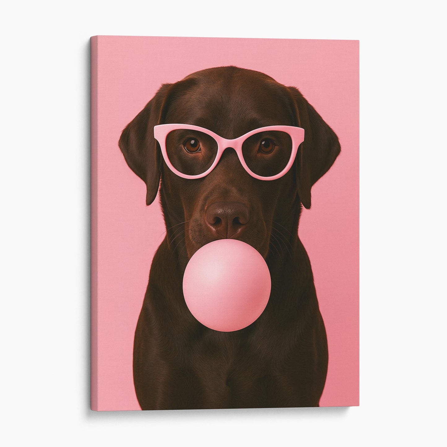 Chocolate Labrador Dog Pink Bubble Gum Sunglasses