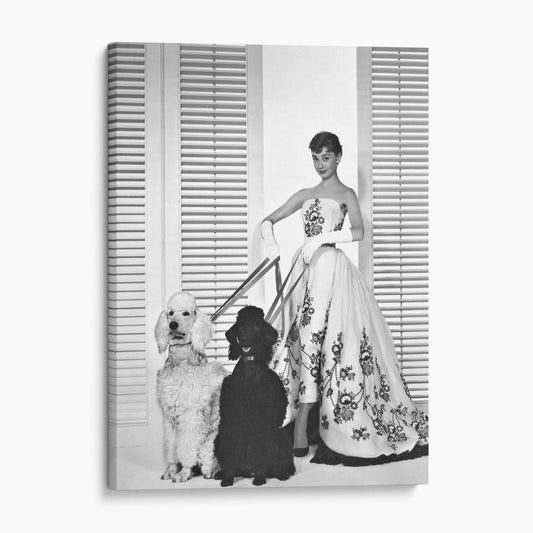 Audrey Hepburn Walking Her Dogs