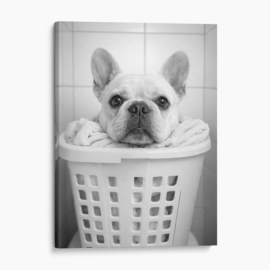 French Bulldog Laundry