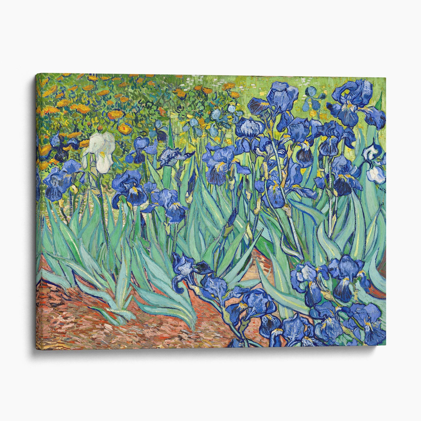 Irises 1889 by Van Gogh