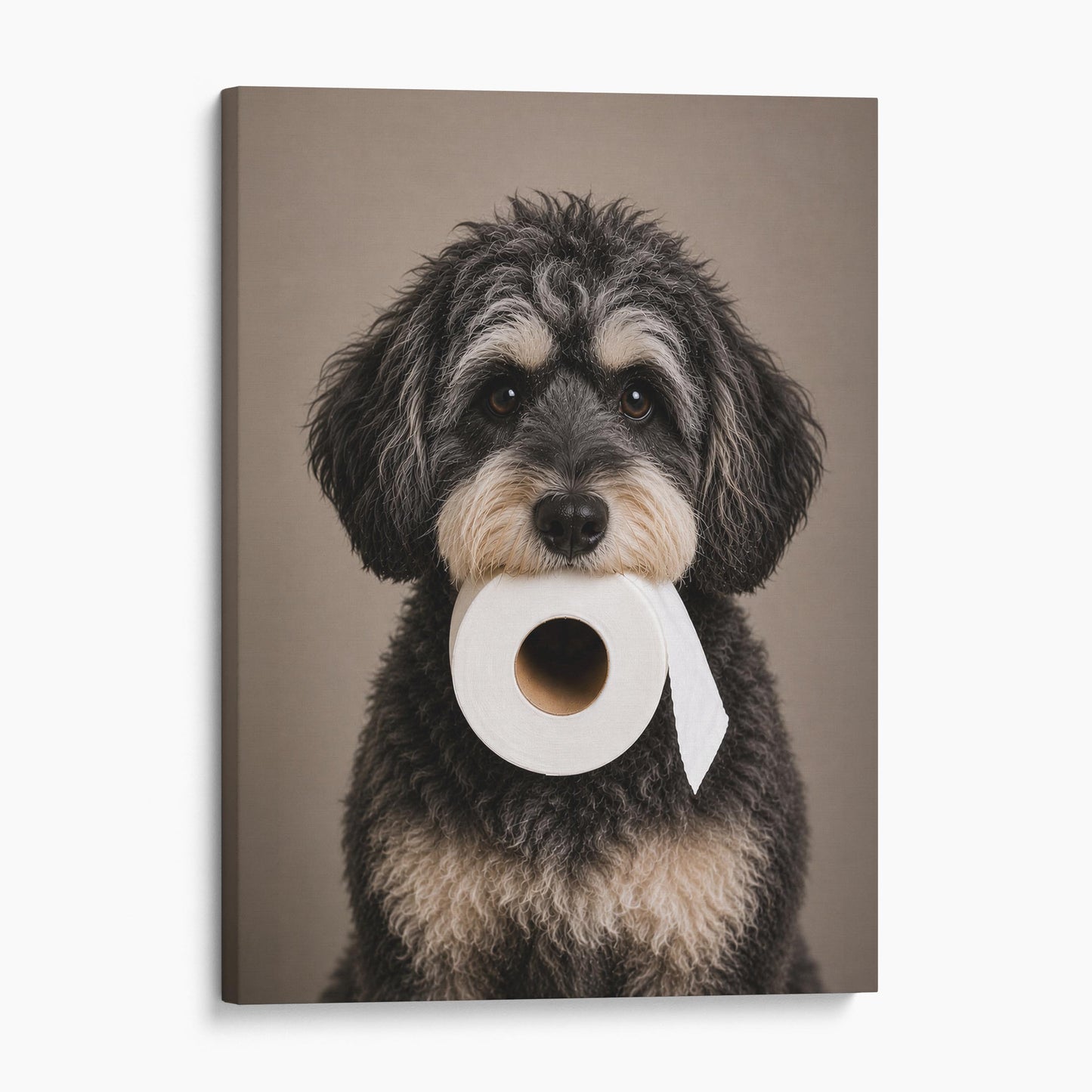 Schnoodle Dog Toilet Paper