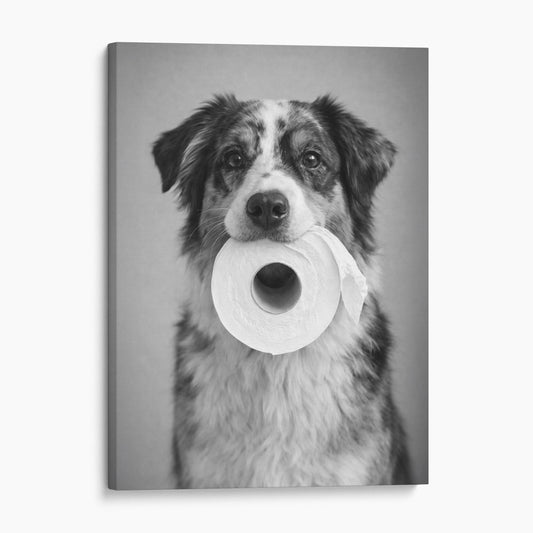 Australian Shepherd Dog Toilet Paper