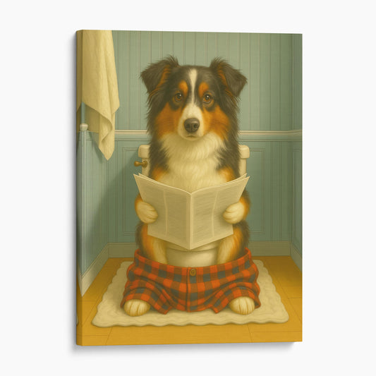 Miniature American Shepherd Dog Reading The Newspaper On The Toilet
