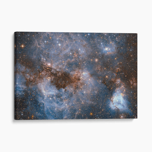Maelstrom Of Glowing Gas And Dark Dust, Papillon Nebula, N159 NASA