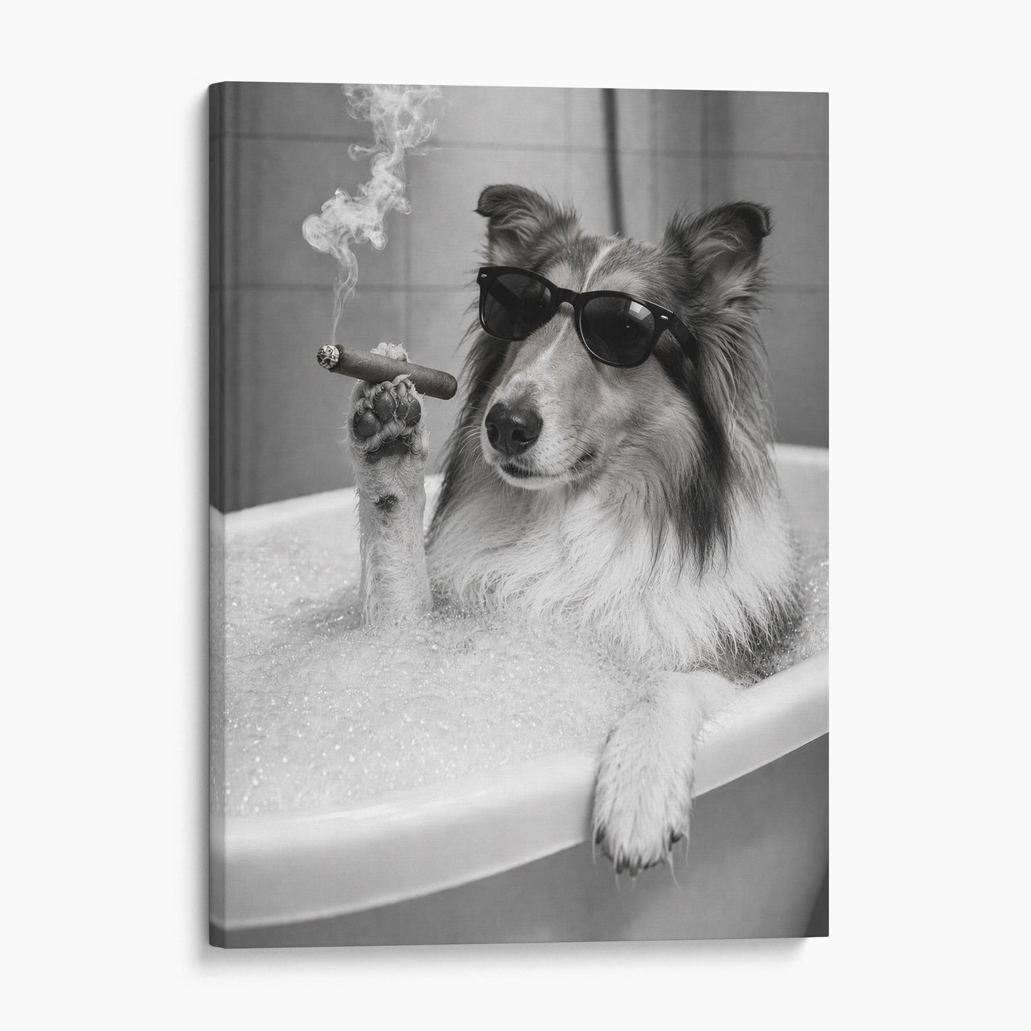 Collie Dog Bathtub Cigar