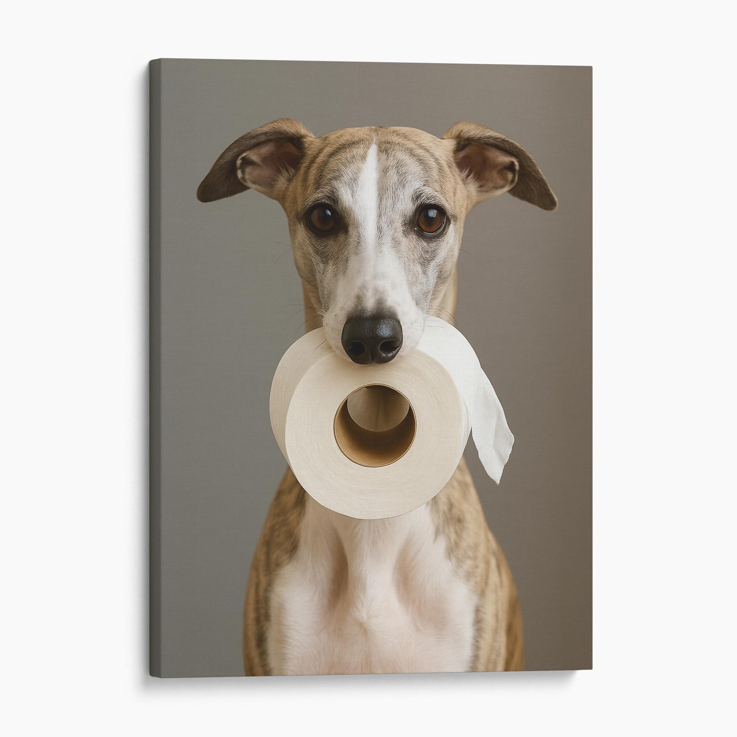 Whippet Dog Toilet Paper