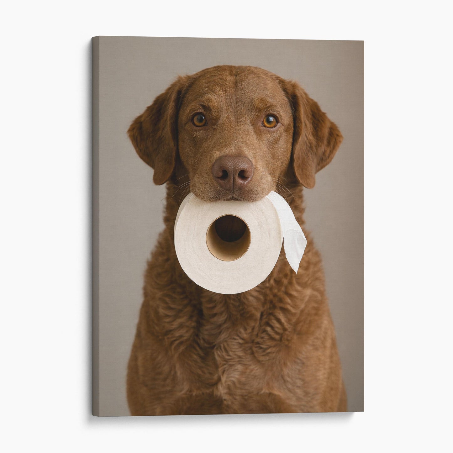 Chesapeake Bay Retriever Dog Toilet Paper
