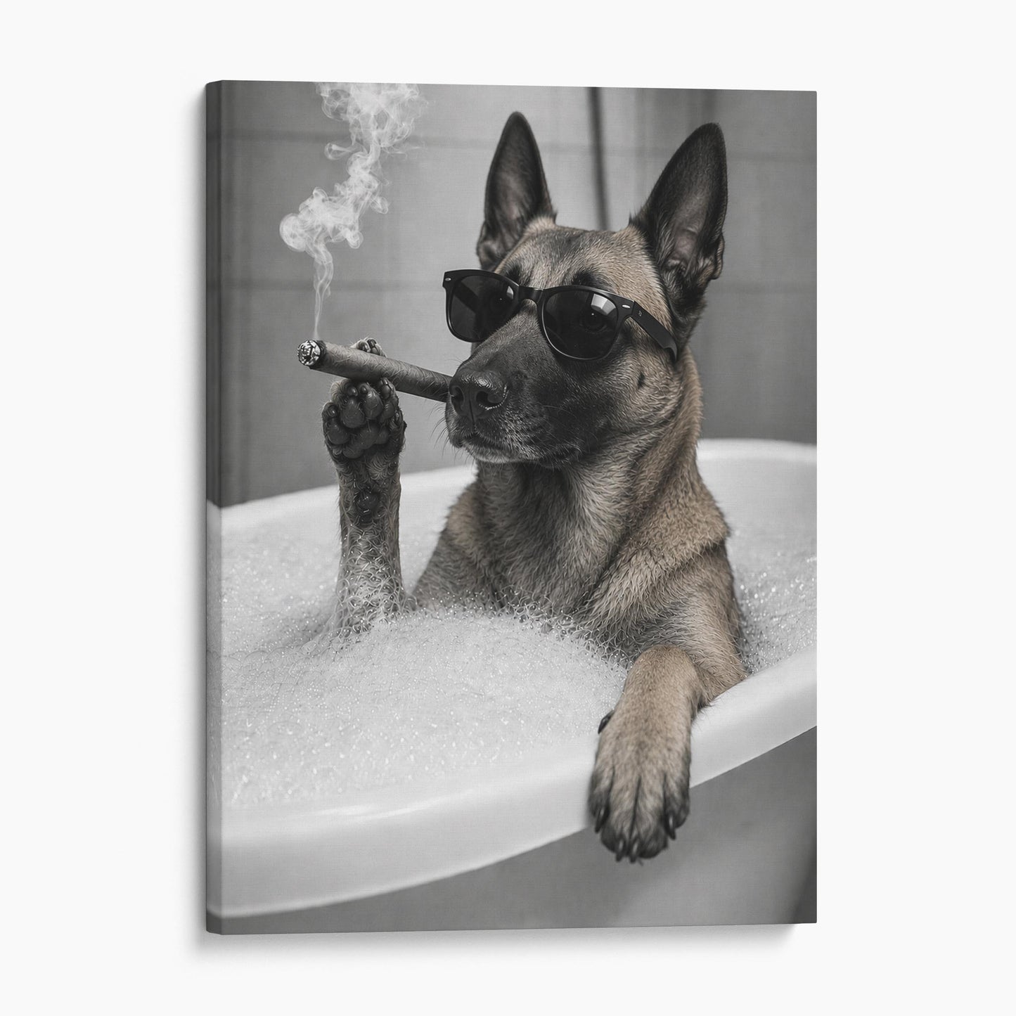 Belgian Malinois Dog Bathtub Cigar