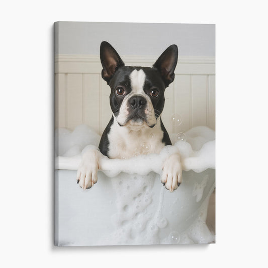 Boston Terrier Dog Bubble Bath