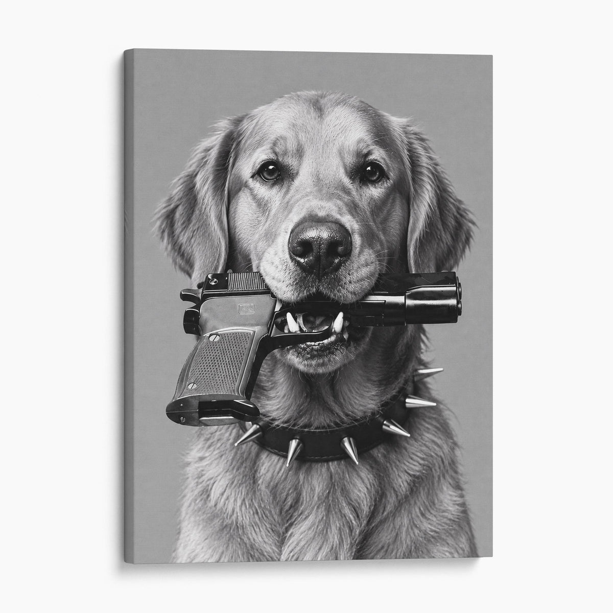 Golden Retriever Gun In Mouth