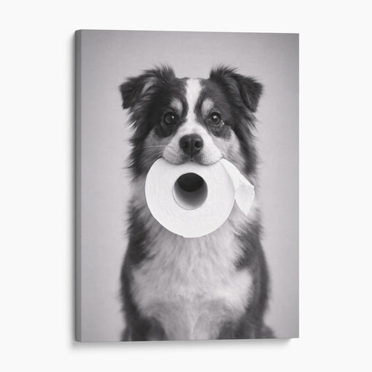 Miniature American Shepherd Dog Toilet Paper